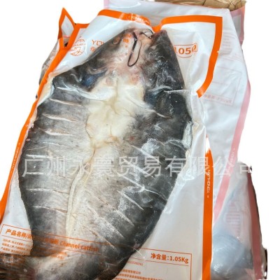 开背叉尾鮰鱼 清江鱼 碳烤清江鱼 1050-1250*14条 厂家直销图5