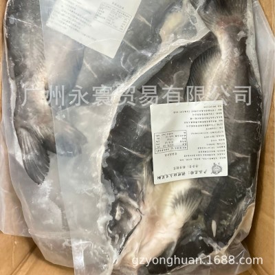 开背叉尾鮰鱼 开背清江鱼 碳烤清江鱼 700-900*12条 厂家直销图4