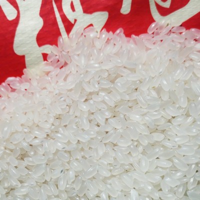 龙江粮仓大米 规格25kg 黑龙江优质长粒香米源头直供东北大米批发图3