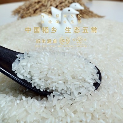 稻乡五常大米核心产区五常稻花香2号 规格5kg真空包装 新大米批发图4