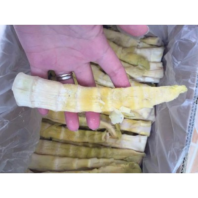 24年新笋上市 临安天目盐笋干新鲜扁尖春笋竹笋图4