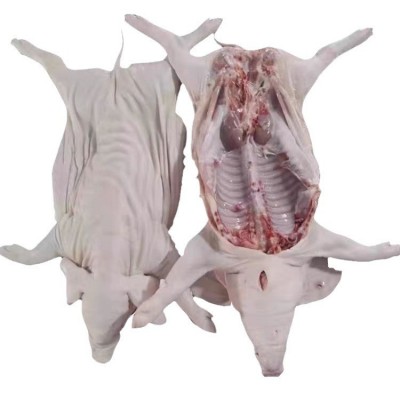 现杀a2a1整只新鲜乳猪冰鲜小乳猪脆皮烤乳猪小香猪小猪仔酒店宴会图5