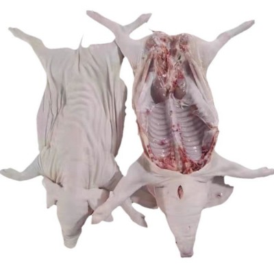 现杀整只新鲜大茶乳猪冰鲜小乳猪脆皮烤乳猪小香猪小猪仔酒店宴会图5