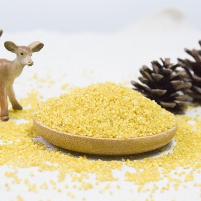 正宗原厂地次村牌沁州黄小米农家营养月子米2.5Kg五谷杂粮小黄米图5