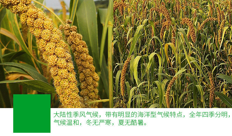 7772095247_1871736190_副本