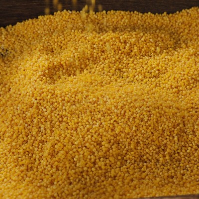 正宗次村牌沁州家庭有机黄小米500克真空装食用黄小米五谷杂粮图3