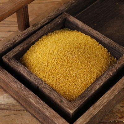 正宗次村牌沁州家庭有机黄小米500克真空装食用黄小米五谷杂粮图4