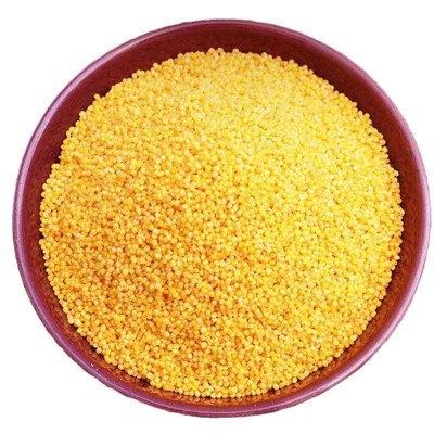 正宗次村牌沁州家庭有机黄小米500克真空装食用黄小米五谷杂粮图2