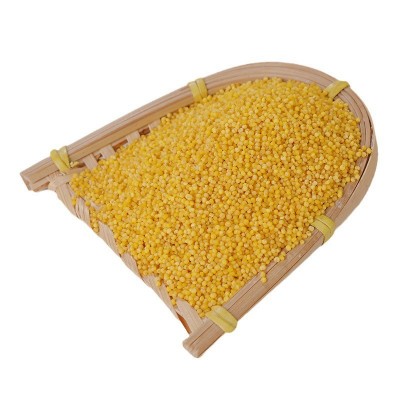 正宗次村牌沁州家庭有机黄小米500克真空装食用黄小米五谷杂粮图5