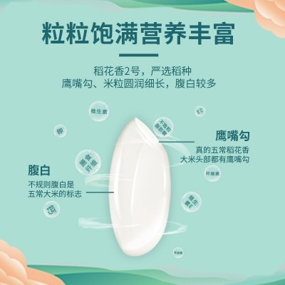 新米东北五常大米稻花香2号5KG10斤厂家批发一件代发图3