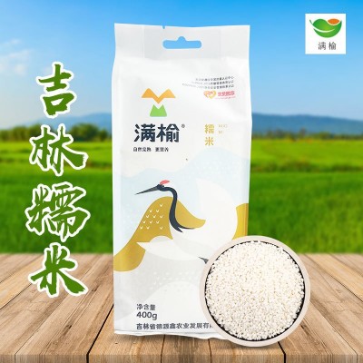 满榆糯米400g真空袋装 东北特产厂家批发五谷杂粮一件代发 糯米图2
