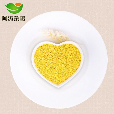 东北特产 农家黄小米10斤/袋 宝宝米 月子米 原生黄小米厂家批发图2