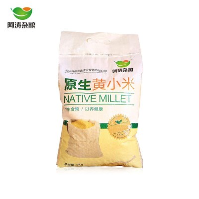 东北特产 农家黄小米10斤/袋 宝宝米 月子米 原生黄小米厂家批发图5