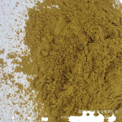 辣椒粉批发 火锅底料辣椒粉 现货供应 烧烤调料绿辣椒粉图5