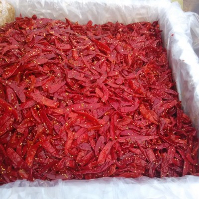 出口、批发 、厂家批发、出口 盐渍辣椒 、辣椒酱图5