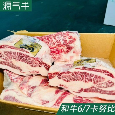 澳洲558厂和牛双层后胸M6-7卡努比火锅店烤肉冷冻原切牛肉卷整箱图2