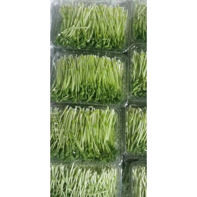 承接广东大小餐馆中餐厅西餐厅食材配送蔬菜水果代购一级市场直供图5