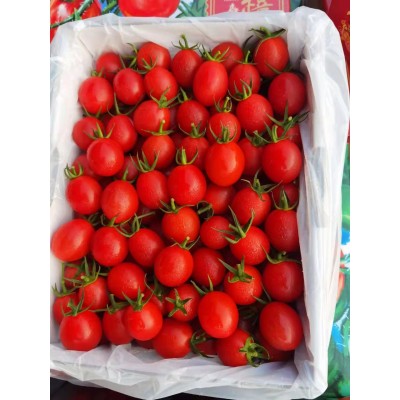 承接广东大小餐馆中餐厅西餐厅食材配送蔬菜水果代购一级市场直供图2