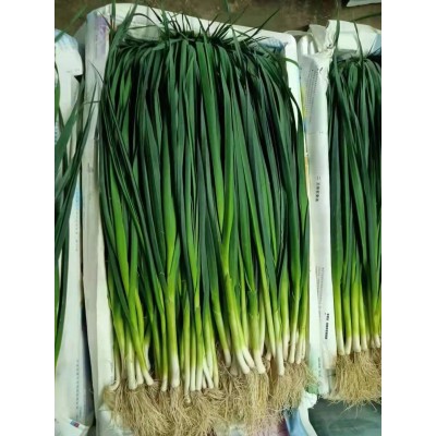 承接广东大小餐馆中餐厅西餐厅食材配送蔬菜水果代购一级市场直供图4