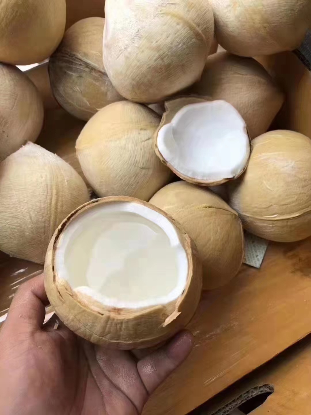 微信图片_202203162317123