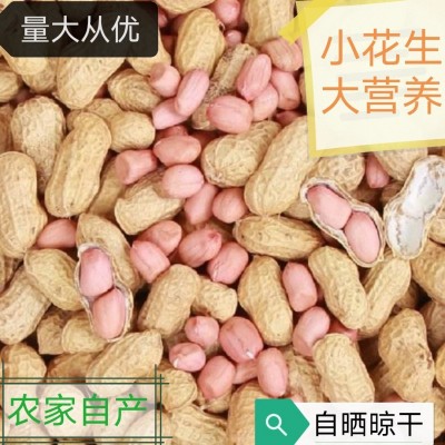 当季新货新鲜带壳花生干生花生白沙花生农家自种晒干一件代发图2