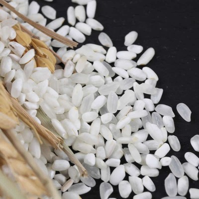 东北大米5kg辽星生态白米新米农家自产白粒米10斤礼品批发图3