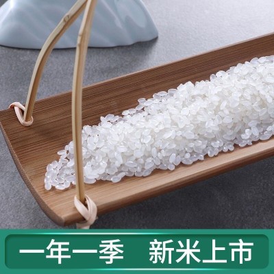 新米正宗东北大米10斤20斤珍珠米农家自产便宜大米批发价图3
