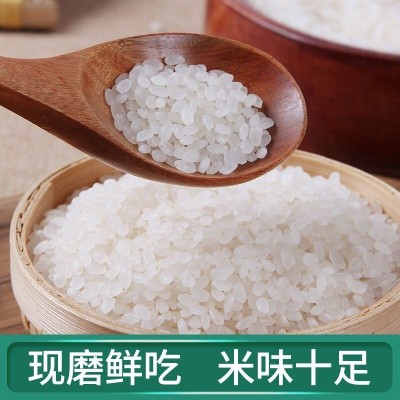 新米正宗东北大米10斤20斤珍珠米农家自产便宜大米批发价图4