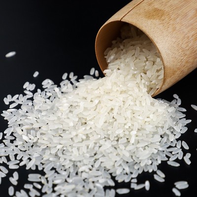 东北大米黑龙江五常稻花香米 大米5kg 2024新米五常大米批发图2