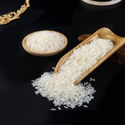 五常大米稻花香2号米东北大米5kg2024新米10斤黑龙江特产大米直批图4