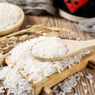 2024新米10斤装五常大米长粒米有机种植自产稻花香2号东北大米5kg图2