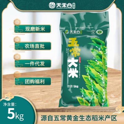 五常大米批发 2024新米10斤长粒稻花香米大米5kg 东北大米