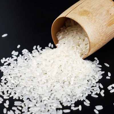 五常大米批发 2024新米10斤长粒稻花香米大米5kg 东北大米图5