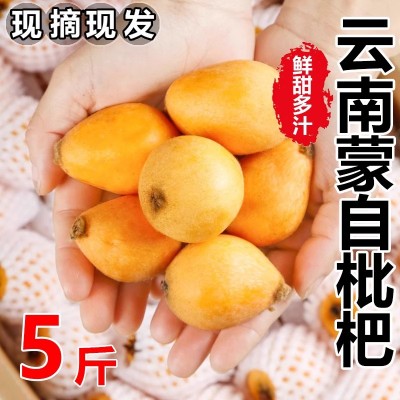 云南蒙自枇杷1-5斤装长虹当季新鲜水果现摘枇杷果甜琵琶孕妇现货图3