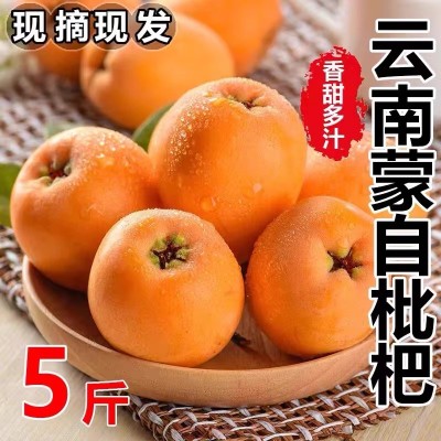 云南蒙自枇杷1-5斤装长虹当季新鲜水果现摘枇杷果甜琵琶孕妇现货图2