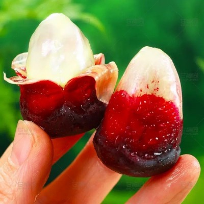 黑老虎布福娜恶魔果5斤新鲜水果野果当季实冷饭团奇异血藤果直播图3