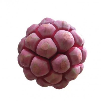 黑老虎布福娜恶魔果5斤新鲜水果野果当季实冷饭团奇异血藤果直播图4