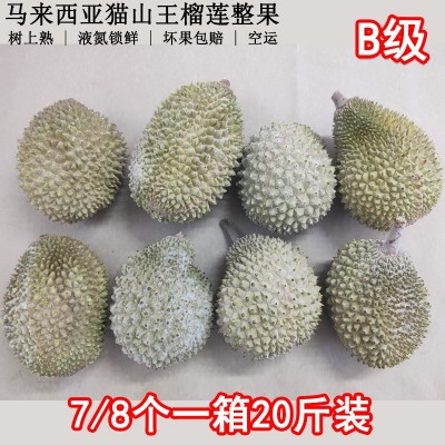 马来西亚D197猫山王榴莲整果 液氮冷冻果水果一件代发团购图4