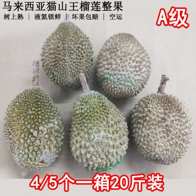 马来西亚D197猫山王榴莲整果 液氮冷冻果水果一件代发团购图3