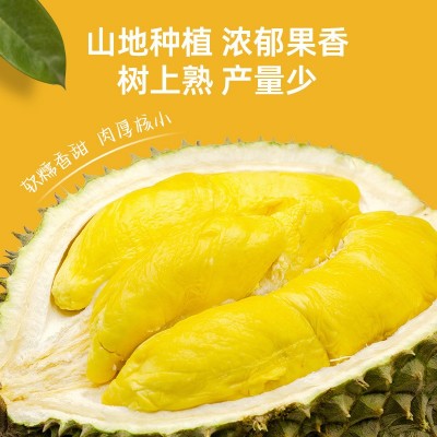 马来西亚D197猫山王榴莲整果 液氮冷冻果水果一件代发团购图2