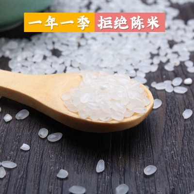 当季新米10kg东北大米5kg新米珍珠米2.5kg批发包邮圆粒 米一件代发图3