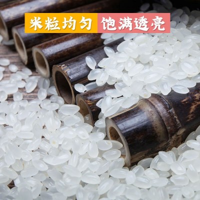 当季新米10kg东北大米5kg新米珍珠米2.5kg批发包邮圆粒 米一件代发图2