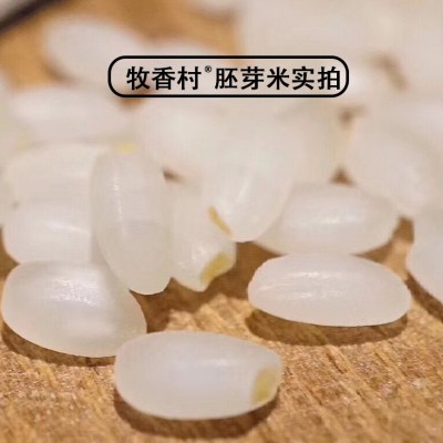 24年新米胚芽米批发厂家杂粮营养天然无添加五常低价商用五常发货图2