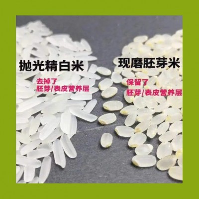 24年新米胚芽米批发厂家杂粮营养天然无添加五常低价商用五常发货图3