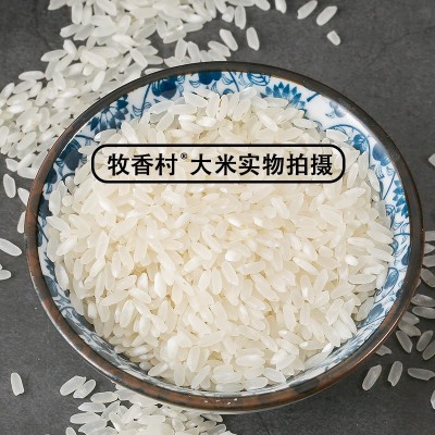 2024年新米五常大米批发零售GB/T19266多规格家用商用五常发货图2