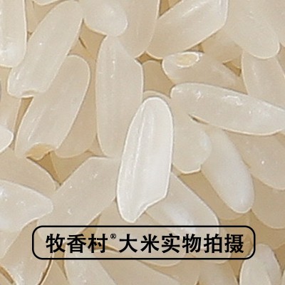 2024年新米五常大米批发零售GB/T19266多规格家用商用五常发货图4