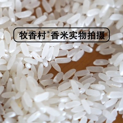 2024年新米长粒香五常生产五常发货自用商用可批发多规格东北大米图2