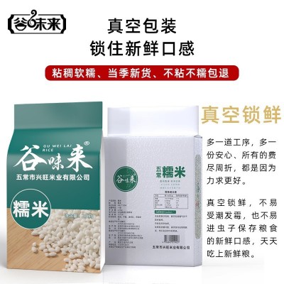 谷味来糯米5斤新米东北圆糯米农家杂粮新鲜香白江米粽子酒酿糯米图2
