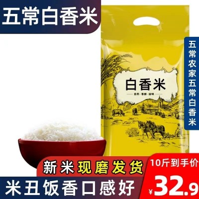 五常大米色选白香米粥米10斤黑龙江大米馥白米丑米新米东北色选粒图3