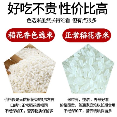 五常大米色选白香米粥米10斤黑龙江大米馥白米丑米新米东北色选粒图4